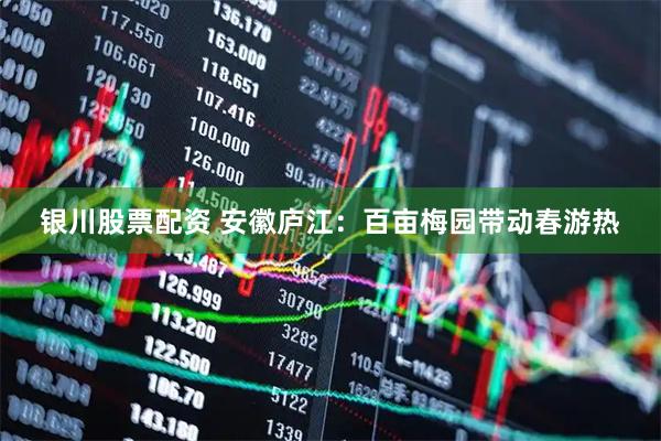 银川股票配资 安徽庐江：百亩梅园带动春游热