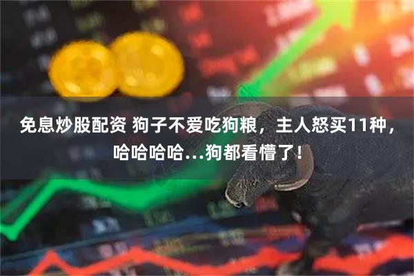 免息炒股配资 狗子不爱吃狗粮，主人怒买11种，哈哈哈哈…狗都看懵了！
